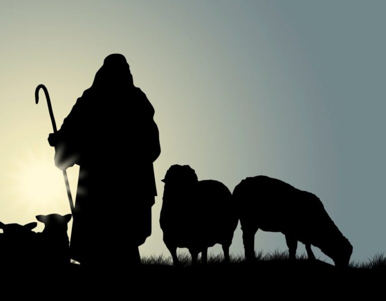 Why Did God Use A Shepherd Boy